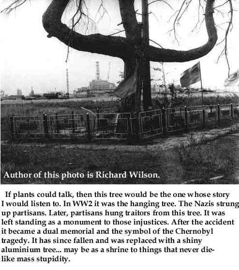 WWII Hanging Tree