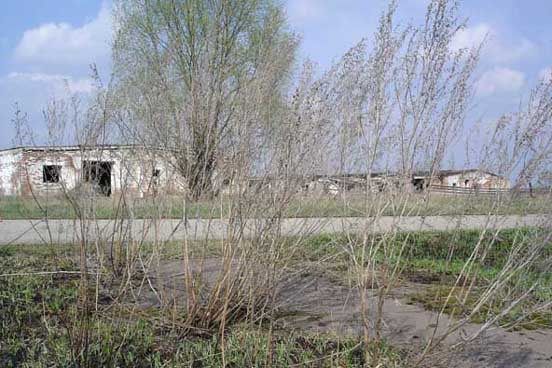 Chernobyl, the wormwood.
