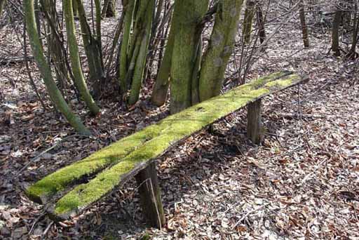 A bench for the tired