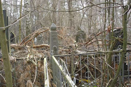 An old, overgrown Jewish cemetery.