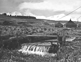 Adak, 1944