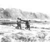 Hiking across the muskeg. Attu, May 1943.  [George Villasenor]