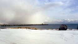 The Old Piers by Navy Town. Attu, 1993. Is that the "fog monster" in the background? [Photo by Pete Wolfe, provided by R. Thibault]