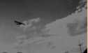 PBY flying overhead. Attu, 1945.  [Elbert McBride]