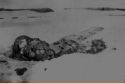 Japanese fighter plane ruins [possibly the Rufe located at Holtz Bay].  [Bill Greene]