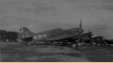 AAF P-40.  [Bill Greene]