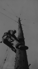 Bill Greene on 125 foot antenna pole, spooky on top.  [Bill Greene]