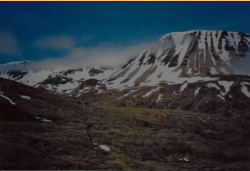 The notorious Fish Hook Ridge near Chichagof Harbor.  [Russ Marvin]