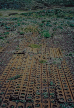 Marsden Matting (PSP) at the site of the WWII airfield at Alexai Point.  [Russ Marvin]