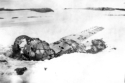 Japanese fighter plane ruins [possibly the Rufe located at Holtz Bay].  [Bill Greene]