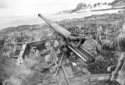 Possibly Japanese cannon.  [Bill Greene]