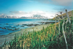 View of Massacre Bay from beach near Alexai Point.  [Russ Marvin]