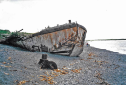 The shipwreck as seen from the beach.  [Russ Marvin]