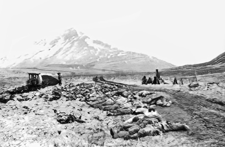 This battle Sealed the fate of the Japanese Army on Attu. It was their last stand.
