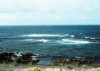 Shemya's West Side...The Confluence Of The Bearing Sea And The Pacific Ocean. [George Blood]