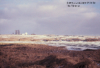 Shemya Landscape, Looking Towards "The Monster." [Frank Cosmano]