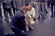 Arthur Godfrey With Boozer II. Shemya, 1966. [Ron Austin]