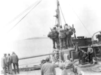 This is how we loaded. The net was spread on the dock and six men placed their bag on the net. The net was raised making a ball. The six men hung onto the net and it was moved over to the barge and lowered to the deck.  [Don Blumenthal]