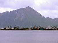 Fishing vessels in port at Dutch Harbor.  [Russ Marvin]