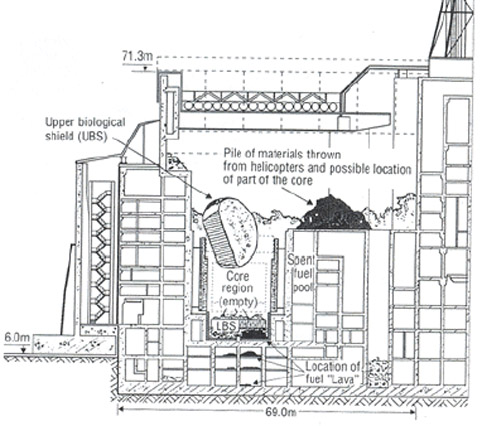 The reactor