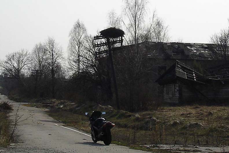 On a motorbike you are a part of wildlife.