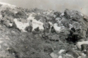 Squad sprawled along the side of a mountain searching for the Japanese defenders.  [Ed Nielsen]