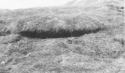 A well-concealed Japanese gun slit. Very difficult to pick out from the rest of the terrain.  [Elbert McBride]