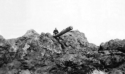 A Japanese dummy gun on Attu, 1945.  [Elbert McBride]