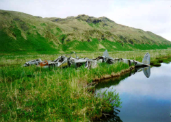 Attu, P-38 crash site.  [Philip Nell]