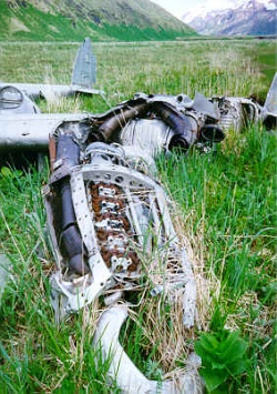 Attu; P-38 Crash Site.  [Philip Nell]