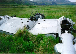 Attu; P-38 Crash Site. Objects removed from both booms, just aft of the superchargers.  [Philip Nell]