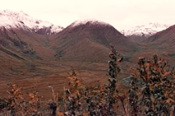 1999: On the way to Attu's Japanese memorial.  [Keith Alholm]
