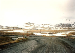 Road leading to the Warehouse; yellow pipe is the refueling pipe from the beach to the fuel farm.