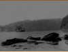 Ship unloading at Attu, Massacre Bay beach, May-June 1943.  [Sam Shout]