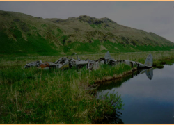 Attu, P-38 crash site.  [Philip Nell]