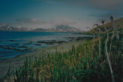 View of Massacre Bay from beach near Alexai Point.  [Russ Marvin]