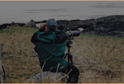 Attour staff member Jerry Rosenband observes some red faced cormorants near Murder Point.  [Russ Marvin]