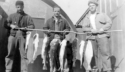 Attu's streams hold an abundance of salmon.  [Bill Greene]