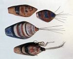 Miniature Aleut Hunting Hats From Kayak Models