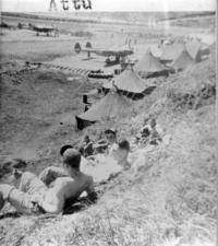 Attu's Alexai Point airfield with P-38s parked on Perforated Steel Plating (Marsden Matting). [George L. Smith