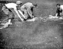 Catching some more. You couldn't eat these fish as they were falling apart. L-R: Cash, Al, and Joe. {Al Gloeckler]