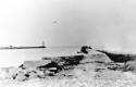 Attu. A picture of the bland area around our hut. This one appears to be down at the "beach!" [Al Gloeckler]