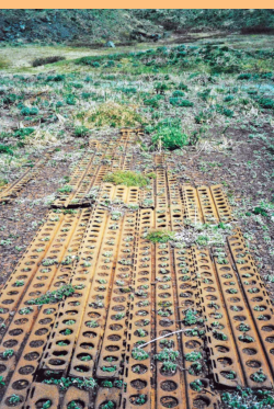 Marsden Matting (PSP) at the site of the WWII airfield at Alexai Point.  [Russ Marvin]