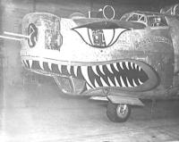 B-24 "Myasis Dragon," 404th Bomb Squadron, Shemya. [Owen Harvey]