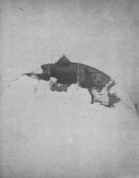 A 10' High Snow Drift Surrounds Lange's Hut, 1946. [Dan Lange]