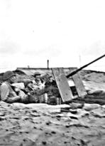 Practice Firing 20mm AA Guns. [Ian Beaton]