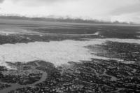 Flying Into Anchorage Via Cook Inlet. [George L. Smith]