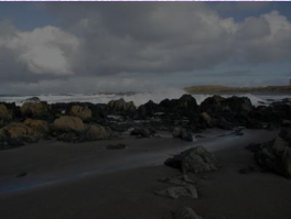 Shemya's rocky shoreline